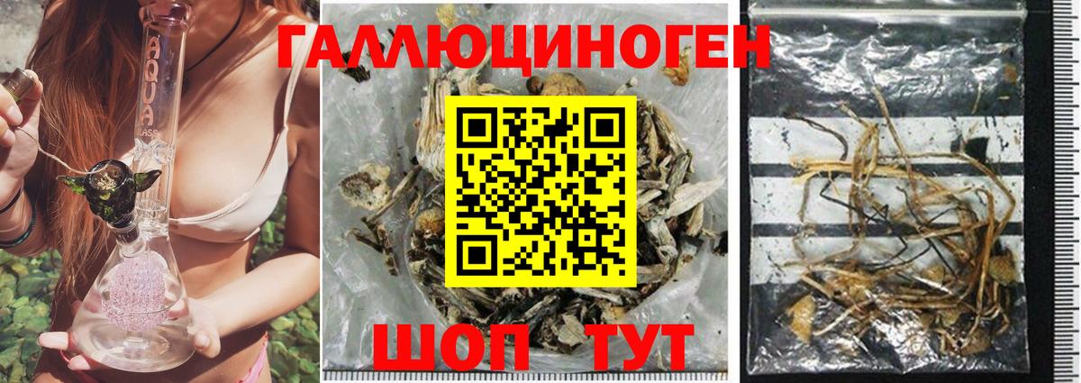 Псилоцибиновые грибы мухоморы  Вход с VPN  Родники 