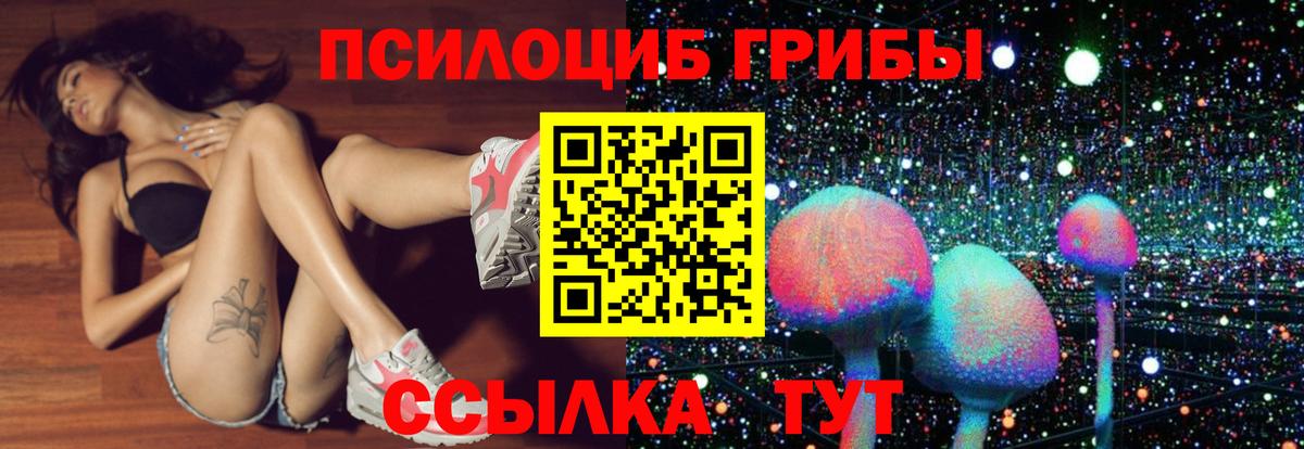 Псилоцибиновые грибы ЛСД Родники